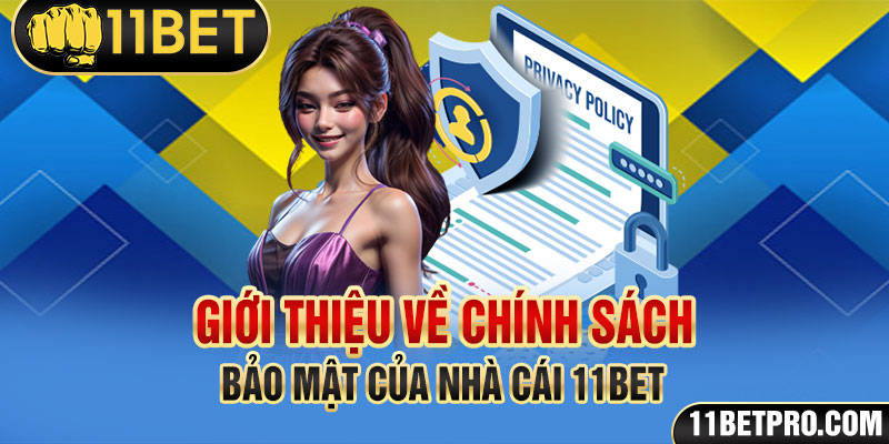 Giới thiệu về chính sách bảo mật của nhà cái 11bet