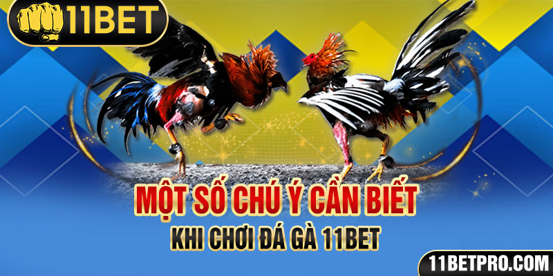 Một số chú ý cần biết khi chơi đá gà 11bet