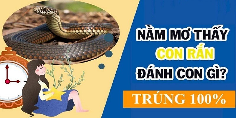 Các con số may mắn xoay quanh giấc mơ thấy rắn