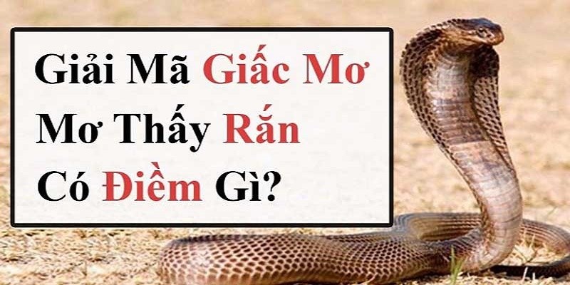 Ý nghĩa của chiêm bao mơ thấy rắn