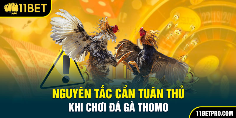 Nguyên tắc cần tuân thủ khi chơi đá gà thomo